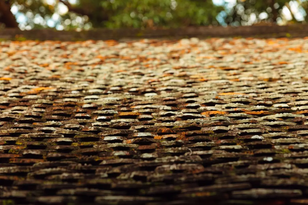 Aging shingle roof with moss growth and granule loss in Tempe, AZ